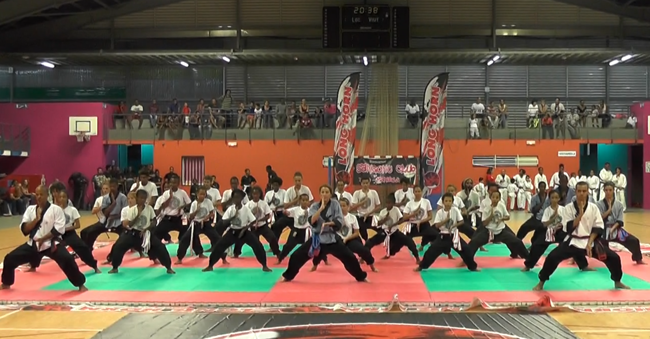 Démonstration collective de Kung fu