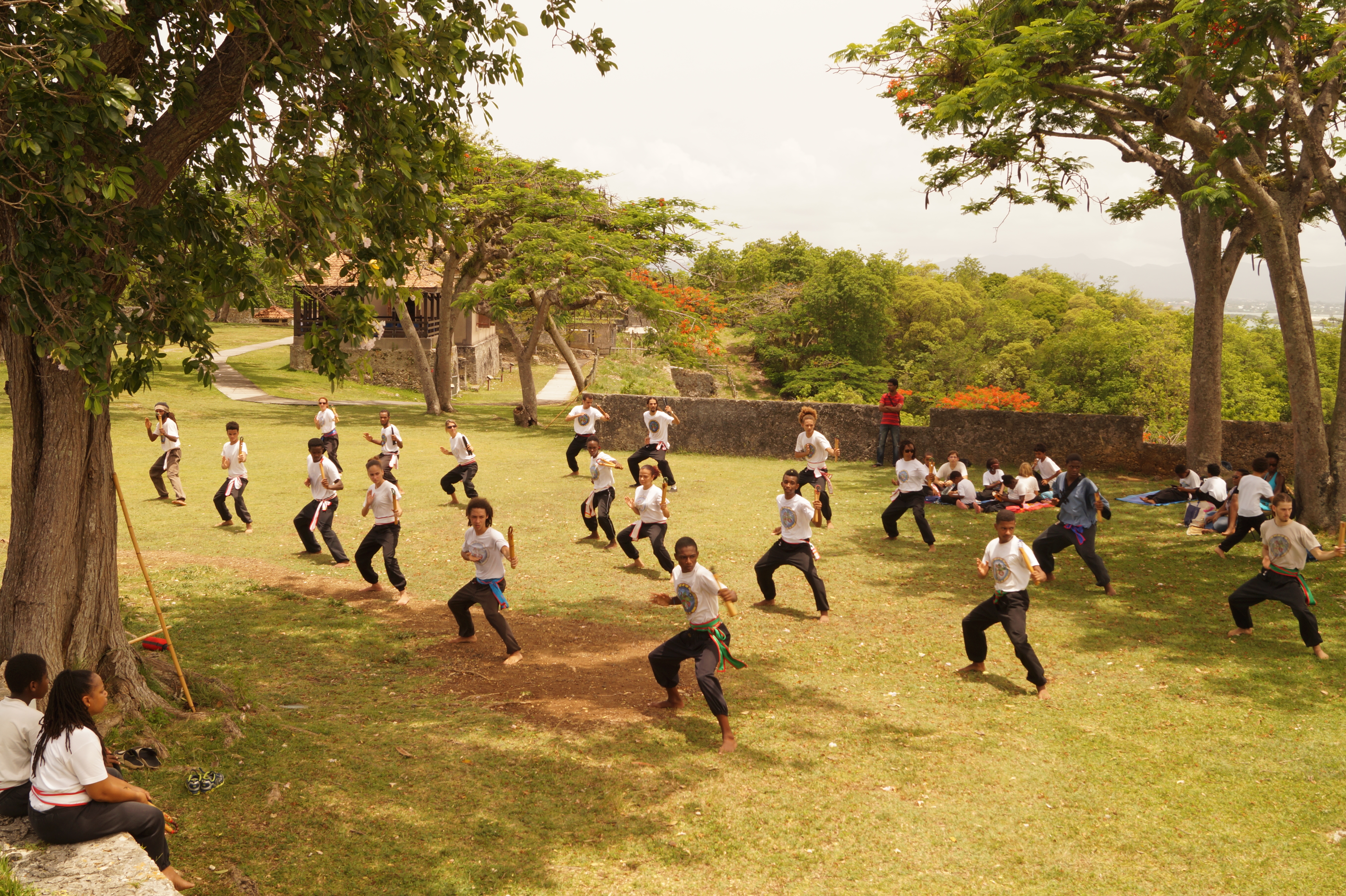 Stage de Kung fu en plein air