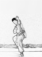 L'attaque du serpent avancé