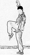 Posture de la cigogne, vue de profil